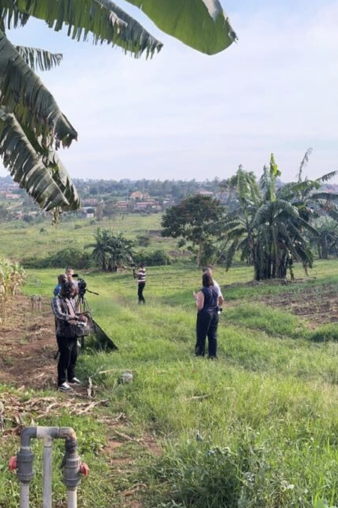 Field research, ground-level conversation with a smallholder farmer